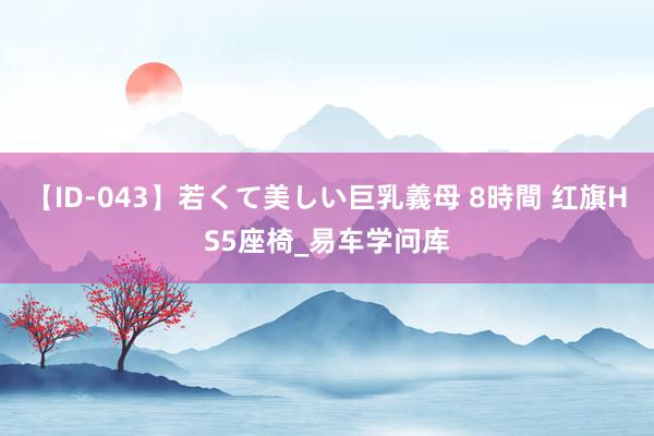 【ID-043】若くて美しい巨乳義母 8時間 红旗HS5座椅_易车学问库