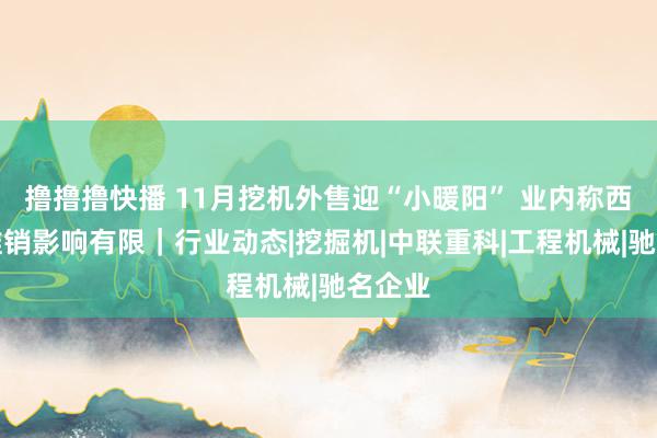 撸撸撸快播 11月挖机外售迎“小暖阳” 业内称西洋反推销影响有限｜行业动态|挖掘机|中联重科|工程机械|驰名企业